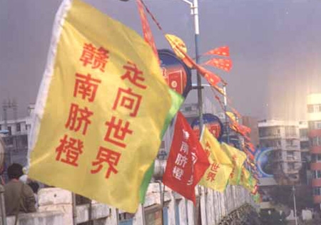 &#20061;&#28216;